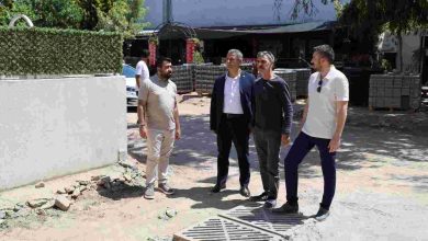 Mehmet Ali Paşa’da yoğun parke mesaisi