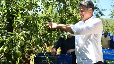 Başkan Kocaman’dan Armut Şenliği’ne Davet