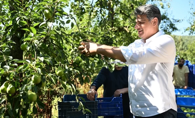 Başkan Kocaman’dan Armut Şenliği’ne Davet