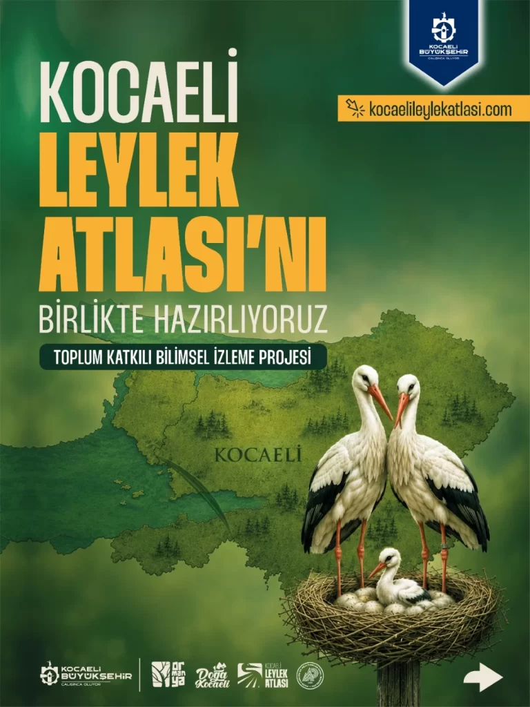 Kocaeli’de her yuvanın izi sürülecek - görsel 2