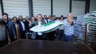 Büyükşehir’den çiftçiye yüzde 50 hibeli tohum desteği