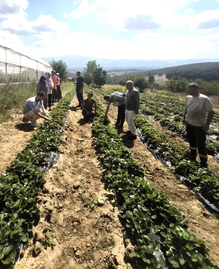 Kadınlar ve gençler toprağa değer katıyor - görsel 4