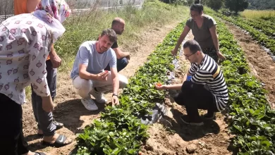 Kadınlar ve gençler toprağa değer katıyor