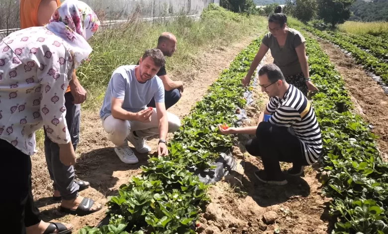 Kadınlar ve gençler toprağa değer katıyor