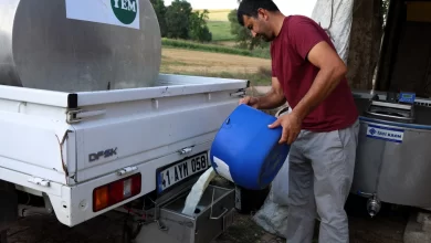 Süt soğuyor, maliyet düşüyor, üretici kazanıyor