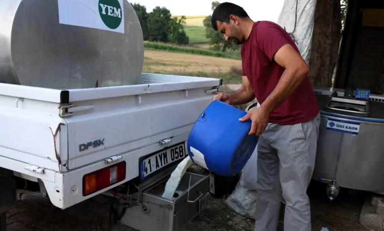 Süt soğuyor, maliyet düşüyor, üretici kazanıyor