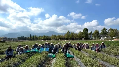TABİP’te üretimden markalaşmaya uzanan hasat
