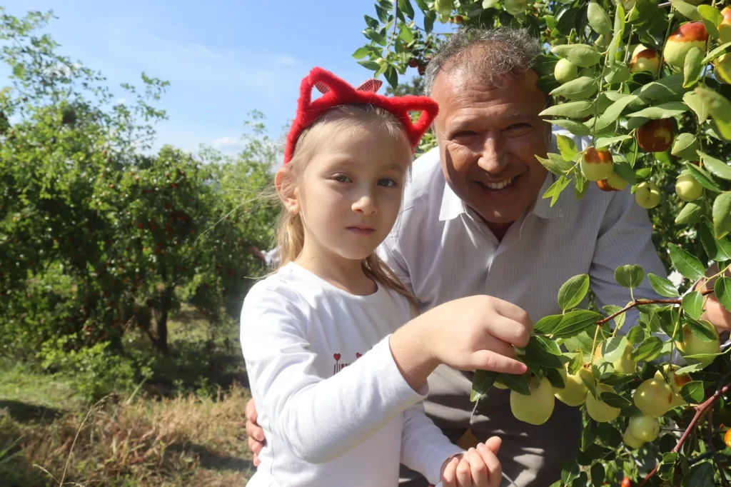 Çınar Çocuk Evi minikleri meyveleri dalından topladı - görsel 3