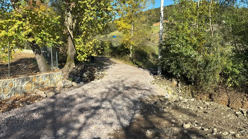Selin kapattığı köy yolu ulaşıma açıldı - görsel 3