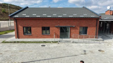 İzmit Belediyesi Dost Pati Yaşam Alanı’ndaki çalışmalarda son aşamaya geldi