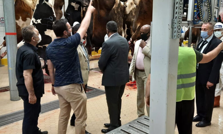 Kocaeli’deki mezbahaya Sudan’dan teknik ziyaret
