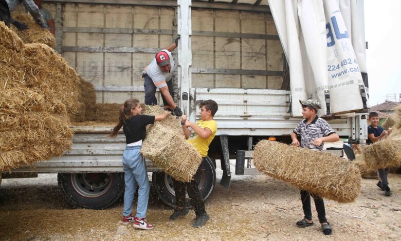 Bursa Nilüferli çiftçilerden Manavgat’a anlamlı yardım