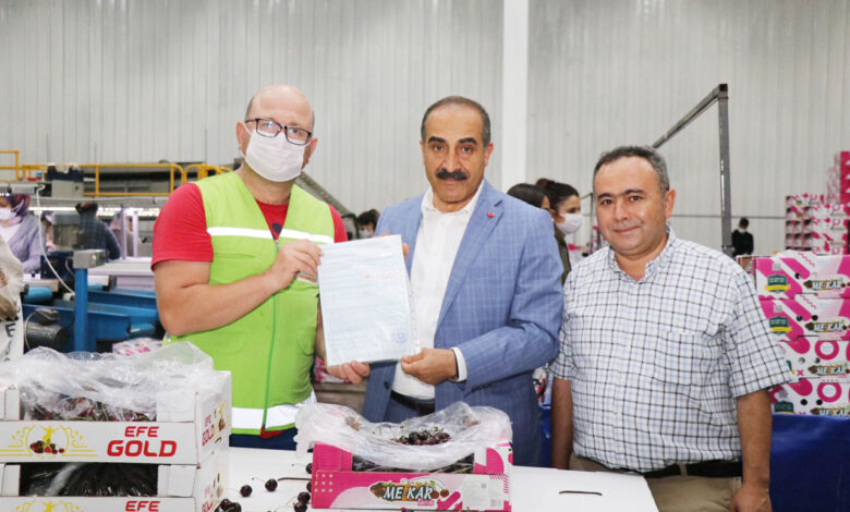 İzmir Kemalpaşa’da kiraz ihracatına inspektör desteği