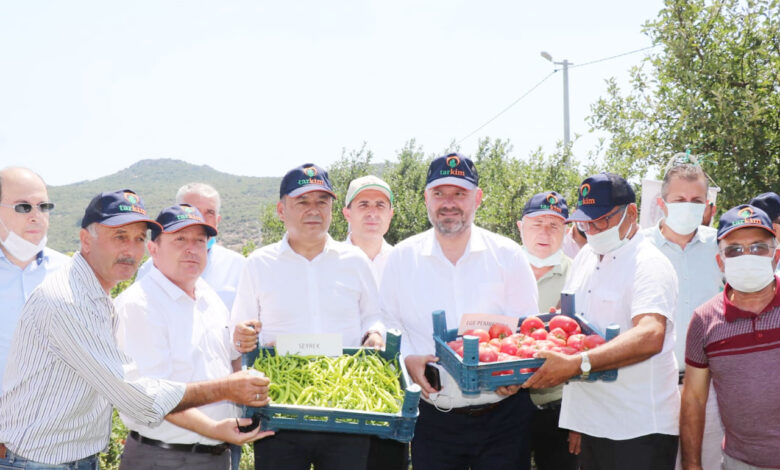 İzmir Menemen’de ‘tarla günü’ etkinliği