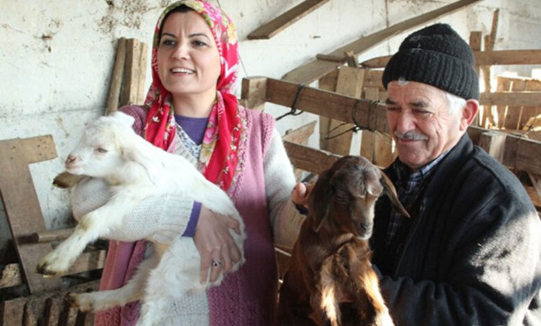 Kocaeli İzmit’te süt üreticilerine destek