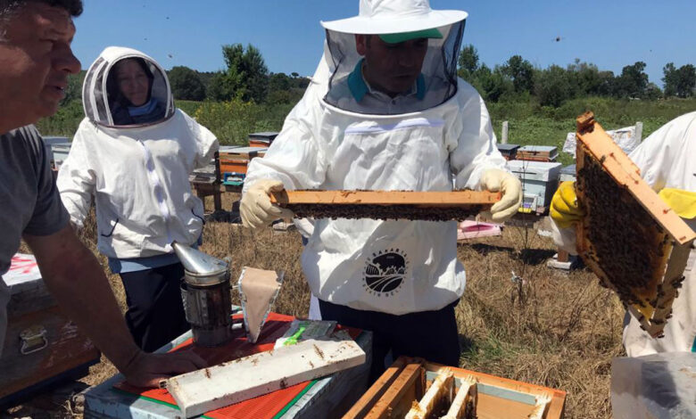 Sakarya’da ödüllü projenin katılımcıları sertifikalandı