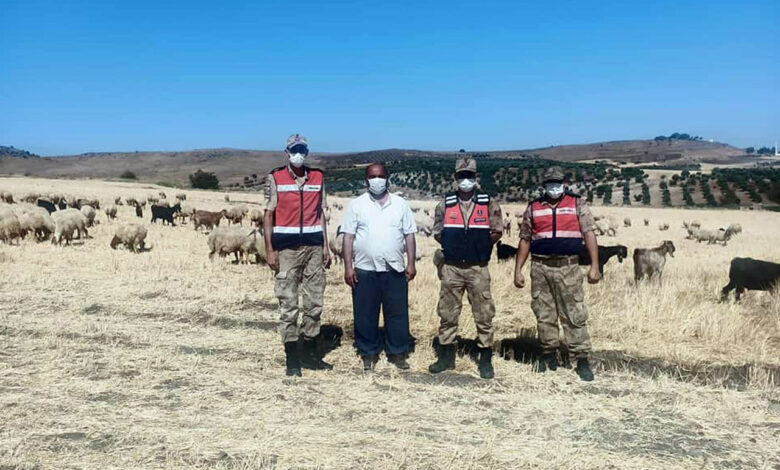 Kilis’te kayıp çoban ve hayvanları JASAT buldu