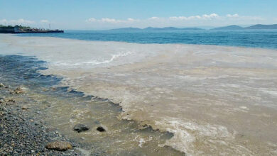 İTÜ’den Müsilaj Sorununa Yönelik 10 Çözüm Önerisi