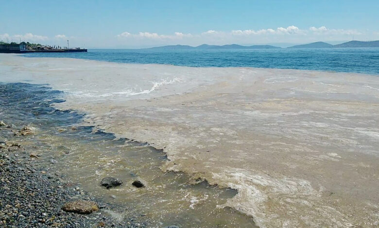İTÜ’den Müsilaj Sorununa Yönelik 10 Çözüm Önerisi