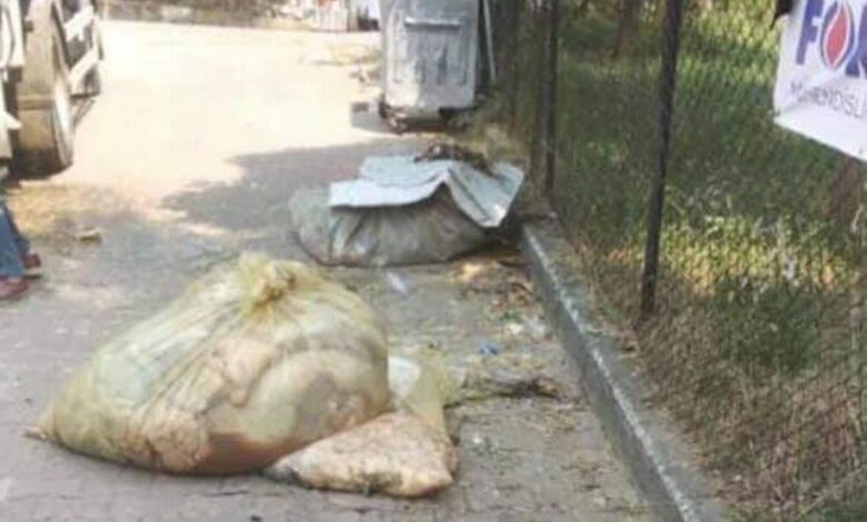 Duyarsızlar yine çevreyi ‘kurban’ etti