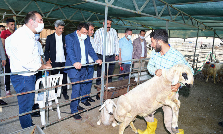 Malatya’da canlı hayvan pazarına ziyaret