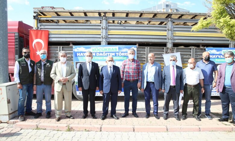 Memduh Büyükkılıç’tan hayvan üreticisine destek