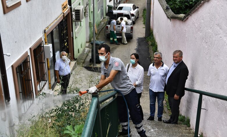 Bursa Çekirge’de haşere avı