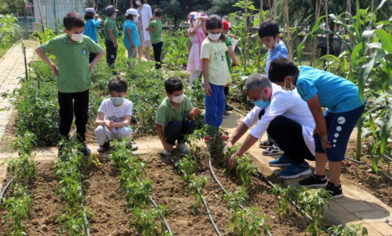 Bursa’daki okul etkinlikleri öğrencilere yaşam becerisi kazandırıyor