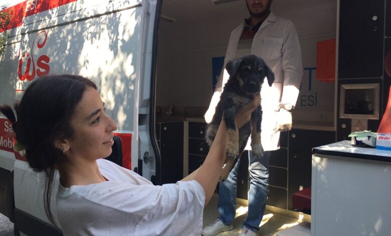 Kocaeli İzmit Belediyesi can dostlarının her zaman yanında