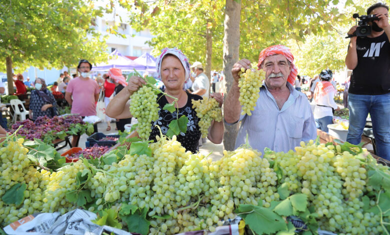 İzmir’de Urla Bağbozumu şenliği
