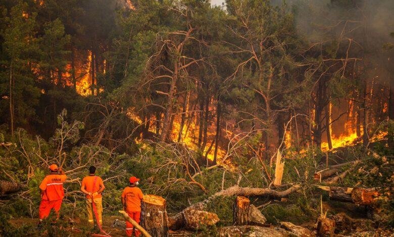 Türkiye’de anlık yangın durumu belli oldu