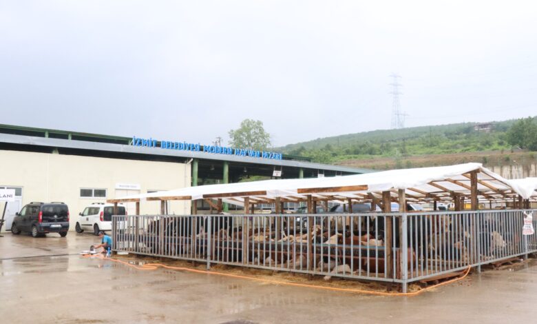 Kocaeli’de modern hayvan pazarı İzmitlileri bekliyor