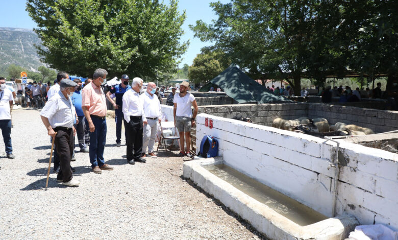 Muğla’da mezbahalara yoğun ilgi