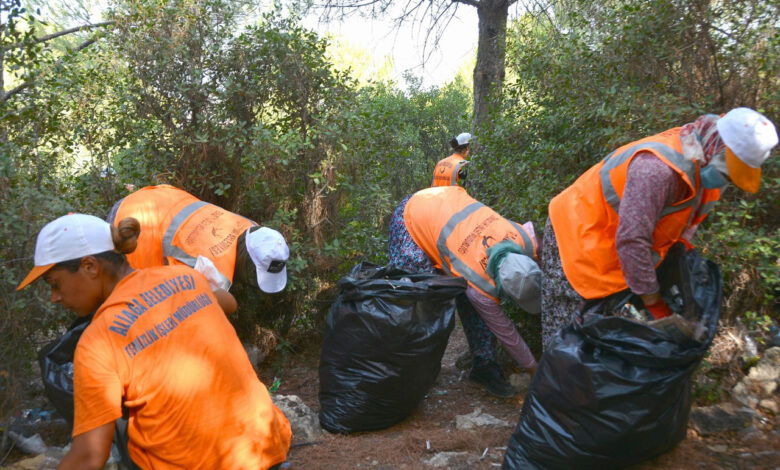 İzmir Aliağa’da ormanlık alanlarda hummalı çalışma
