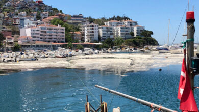 Bakan Kurum: “Marmara’ya balık avı kısıtlaması getirilebilir”