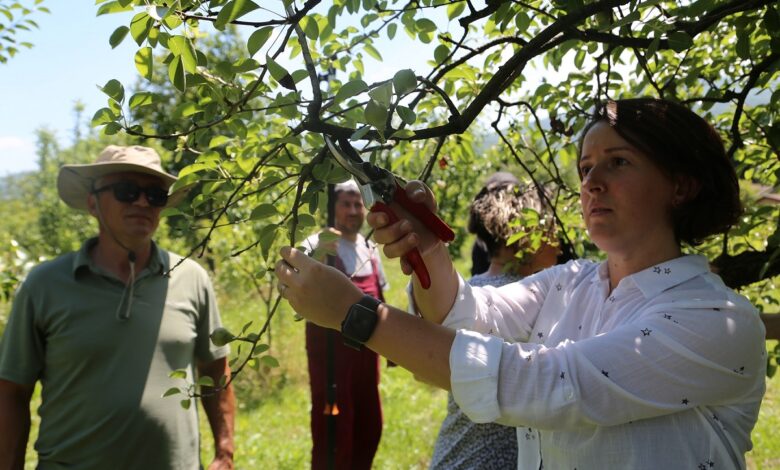 Kocaeli’nde fidancılık kursiyerleri artık daha bilinçli