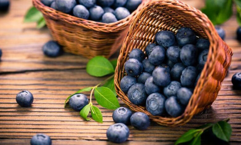 Blueberry ile sağlığınızı koruyun