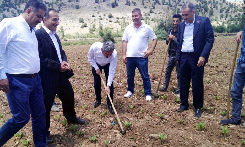 Adıyamanlı Milletvekili Aydın’dan tütün açıklaması