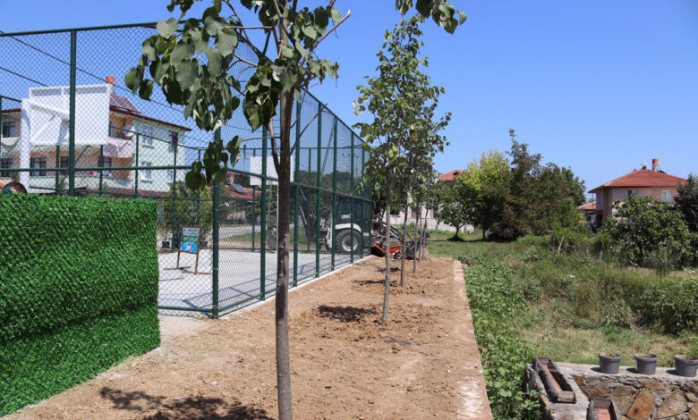 Kocaeli’de Çubuklubala Parkı yeşillendi
