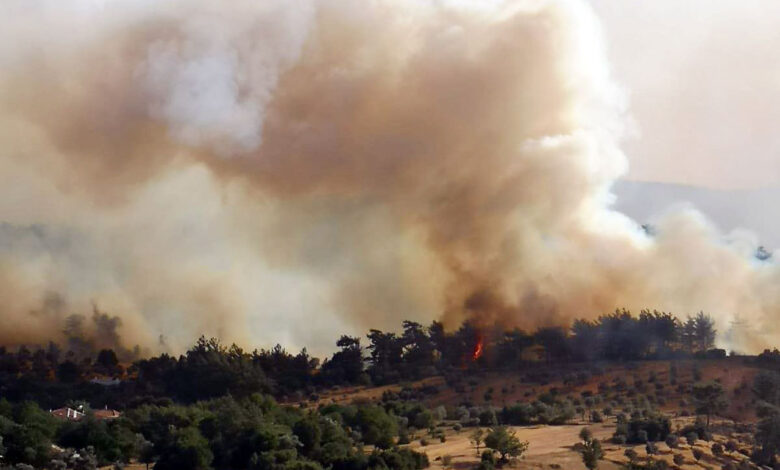 Orman yangınlarında son durum!