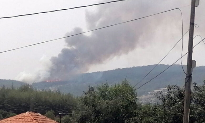 Aydın Bozdoğan’da orman yangını başladı