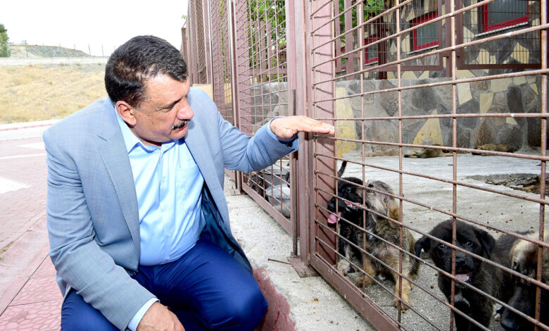 Malatya Yeniköy’de geçici hayvan barınağına ziyaret