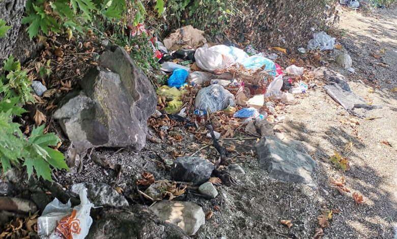 Sakarya Sapanca Gölü’nden torbalarca atık toplandı